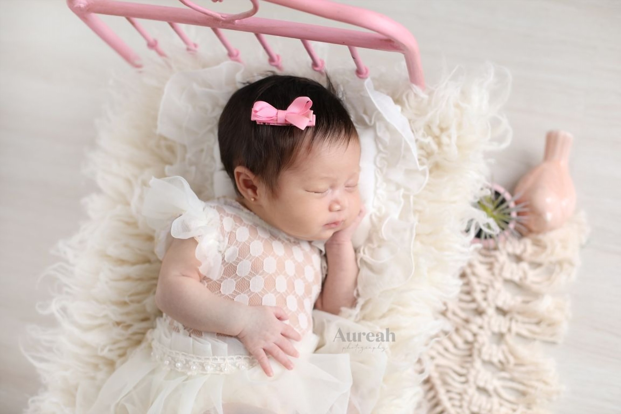 Newborn photography Orlando - Aureah Photography