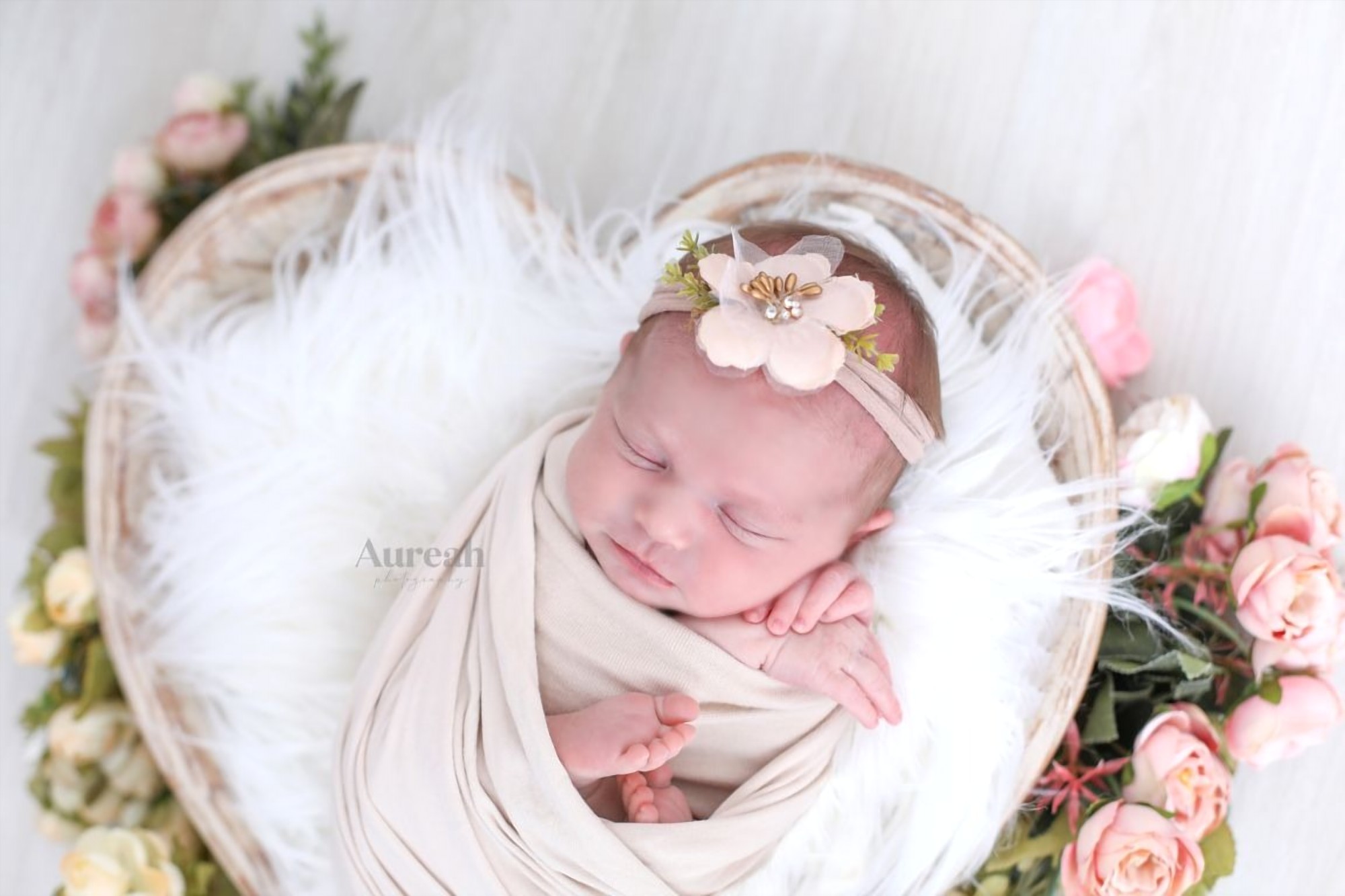 Newborn photography Orlando - Aureah Photography