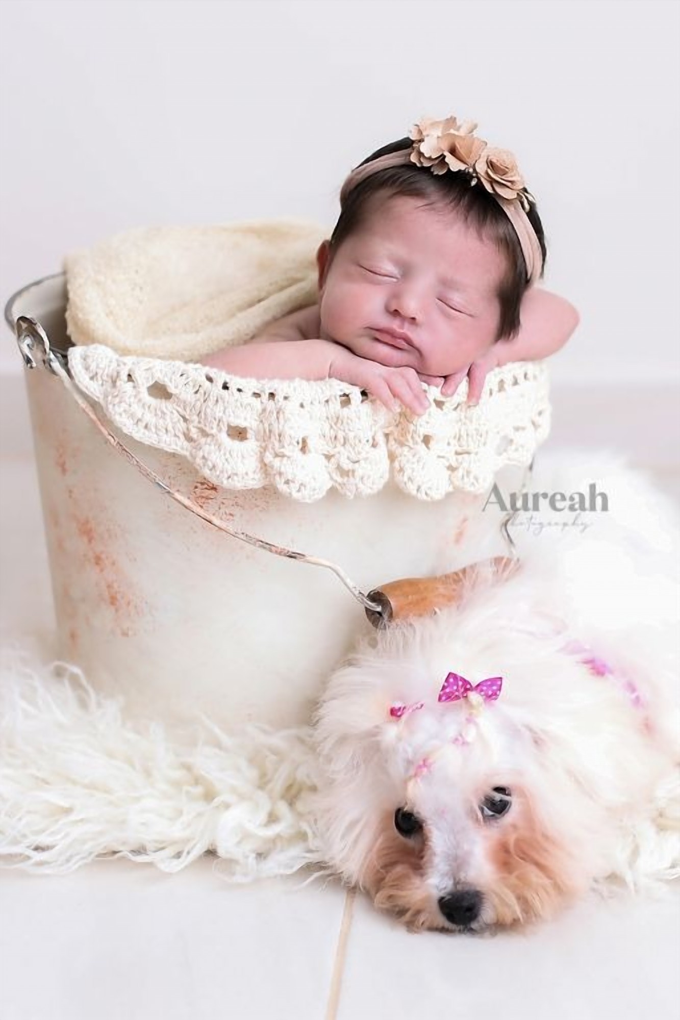 Newborn photography Orlando - Aureah Photography