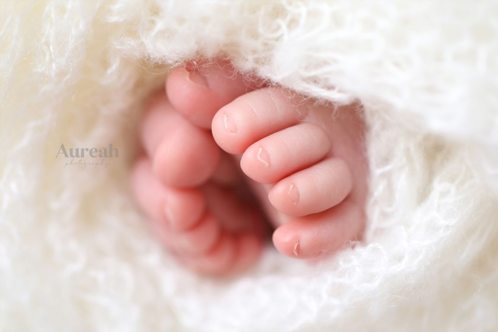Newborn photography Orlando - Aureah Photography