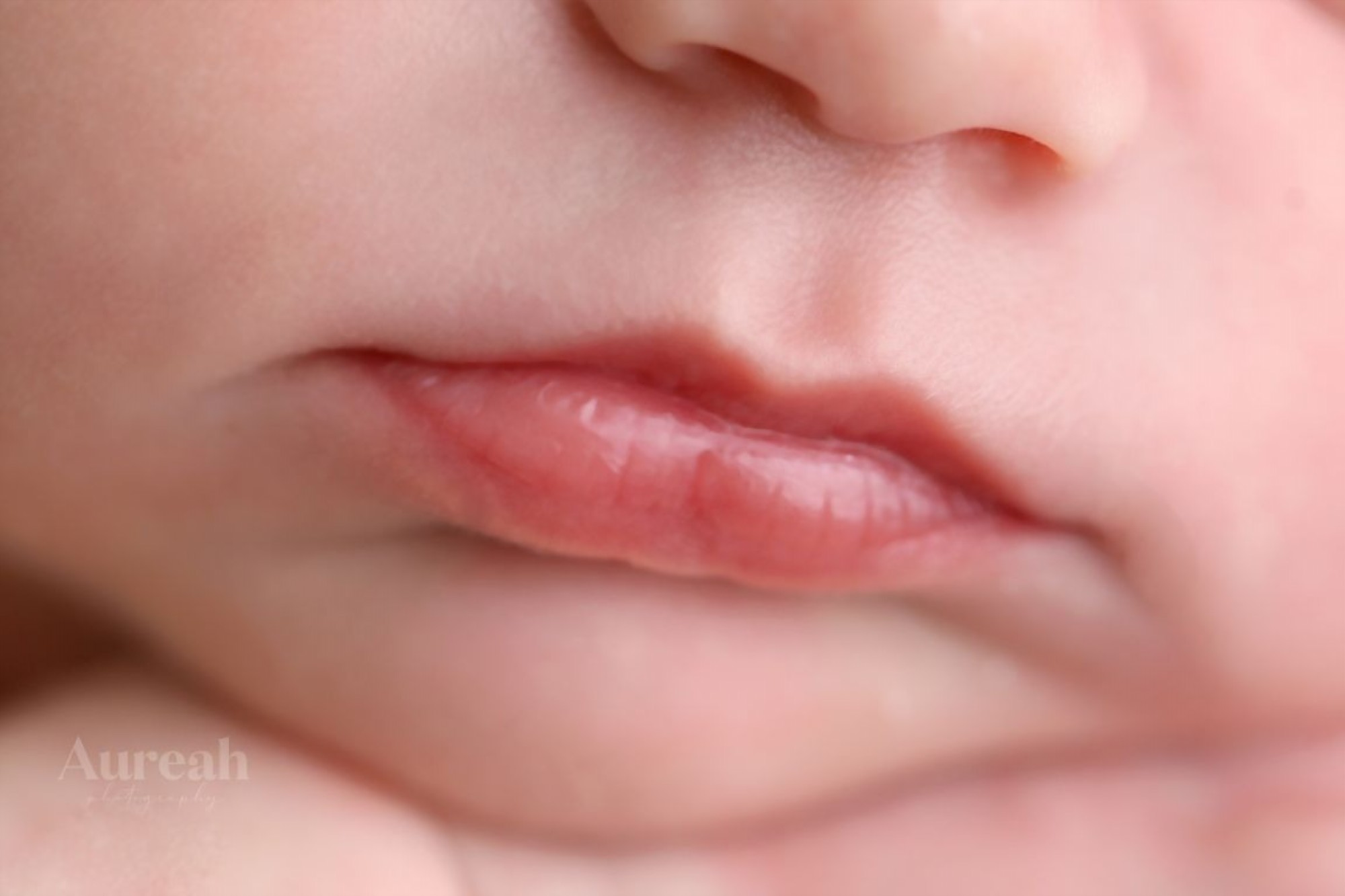 Newborn photography Orlando - Aureah Photography